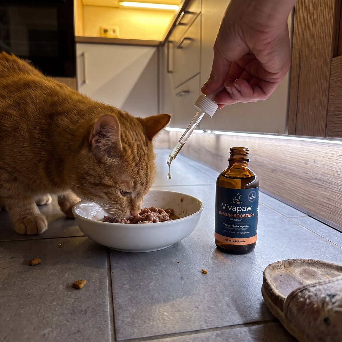 Tropfen werden mit der Pipette aufs Katzenfutter gegeben