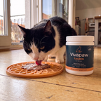 Katze schleckt Futter von der Leckmatte