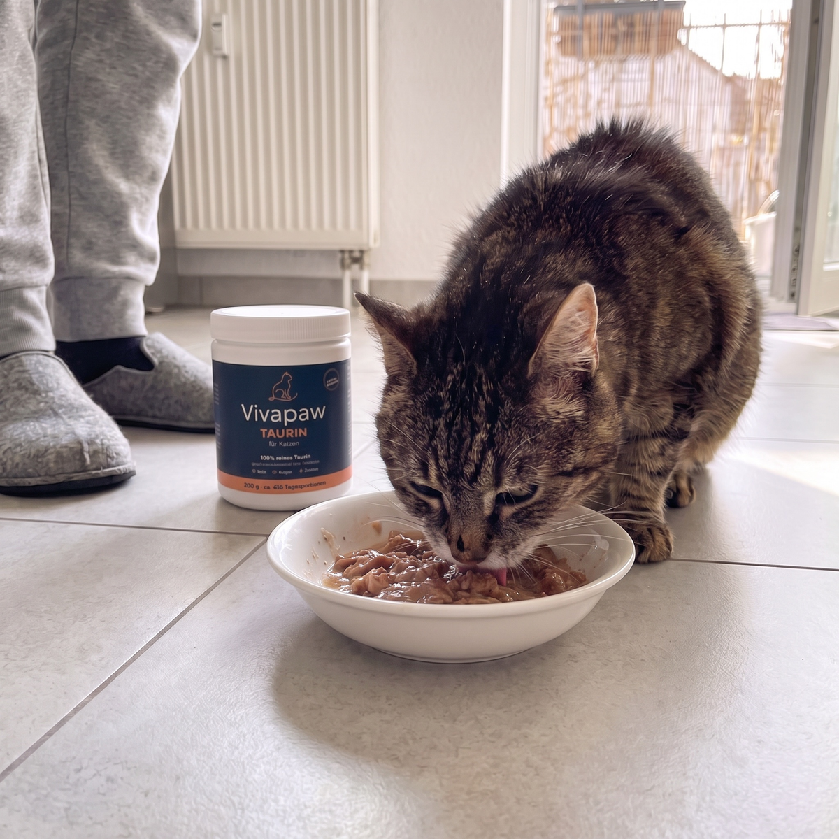 Seniorkatze frisst Nassfutter, daneben die Vivapaw Dose