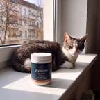 Ältere Katze auf der Fensterbank neben Vivapaw Taurin