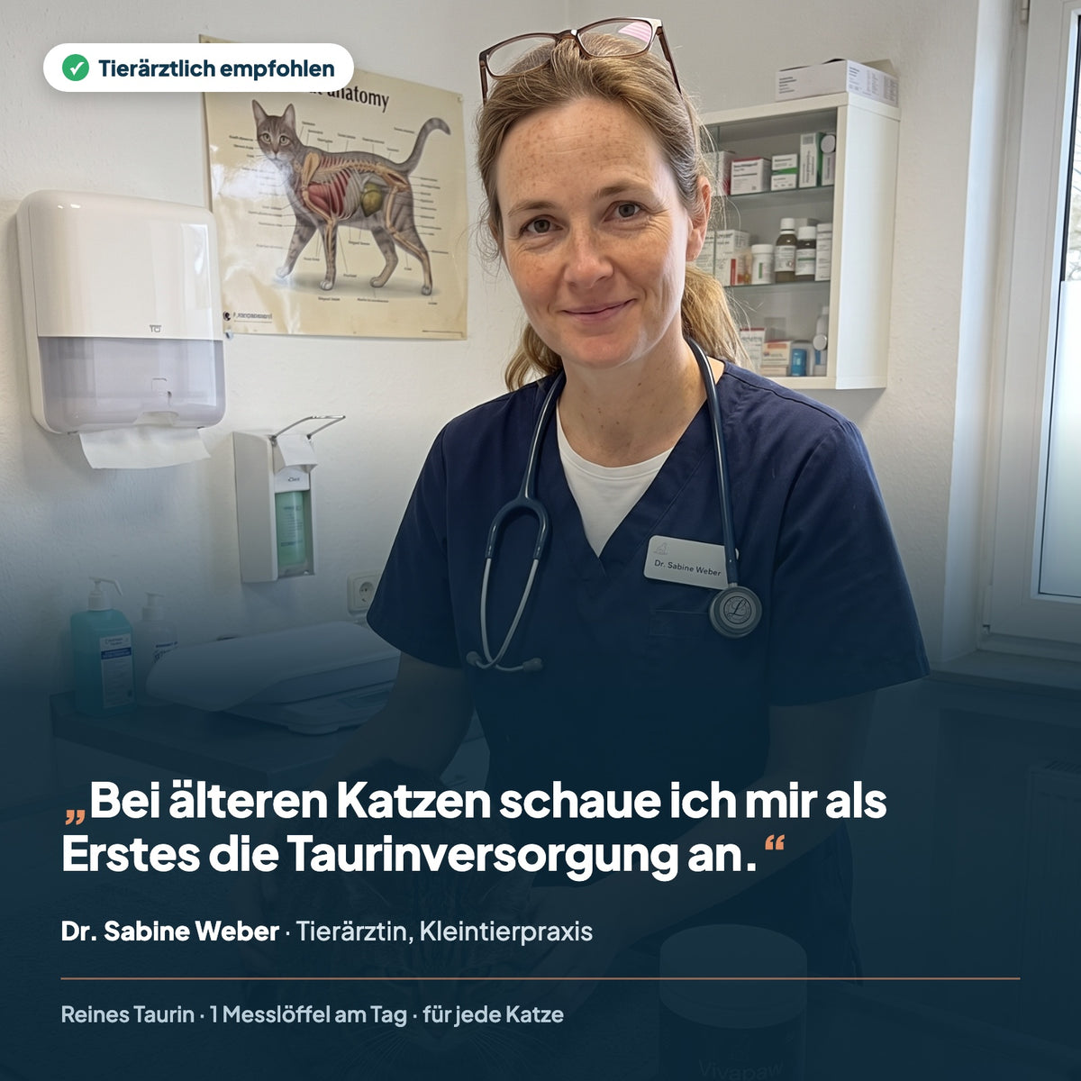 Tierärztin Dr. Sabine Weber empfiehlt Taurin für ältere Katzen