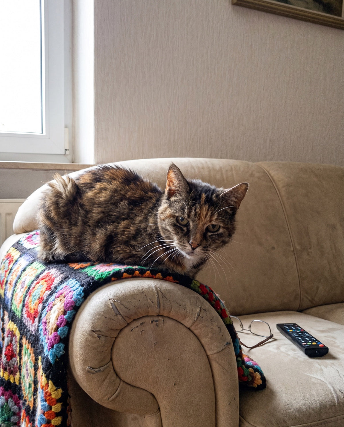 vp-adv-sofa